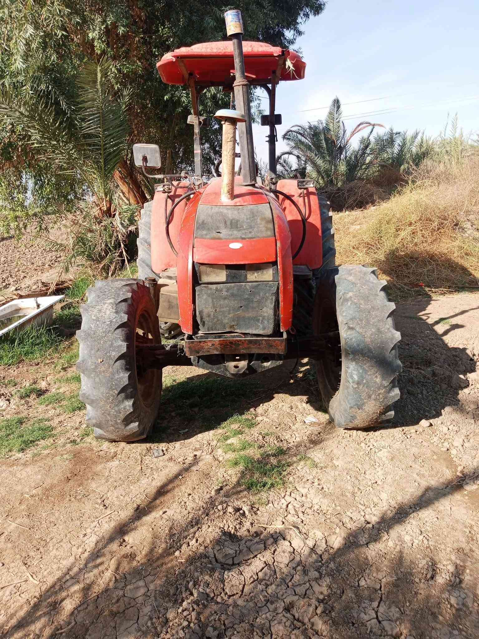 عنتر • زيتور