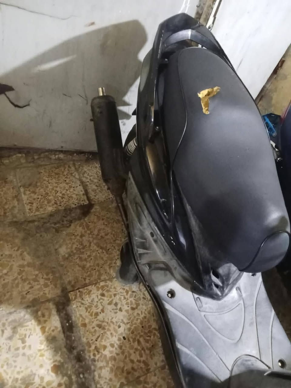 سلام عليكم سكنس فحل للبيع دراجه كهربائيات كله شغاله مكينه ناعمه حلوه بيه صالنصه ريايضي وبيه كلجات رياضي وبيه تاير خلفي جديد دراجه شغاله نكره سلف وهندر بكان لشعب لجمعيات سعر 550 وبيه مجال ***********
