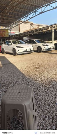 سيل ڤايف • رقم اربيل • ماشيه ١٦٠٠٠