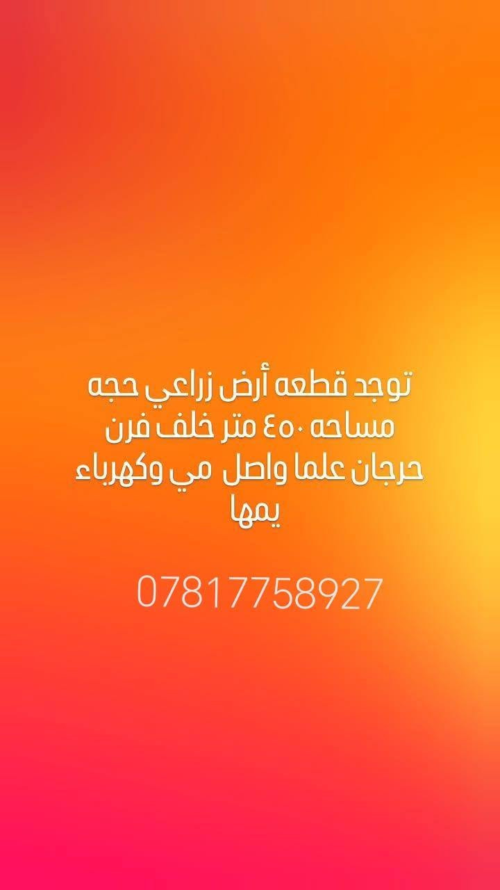 لا توجد تفاصيل

نص مكتوب في الصور:
- توجد قطعه أرض زراعي حجه مساحه ٣٠٠ متر يم معمل المي شارع ٦ مترات علما واصل مي وكهرباء يمها ***********
- توجد قطعه أرض زراعي حجه مساحه ٤٥٠ متر خلف فرن حرجان علما واصل مي وكهرباء يمها ***********