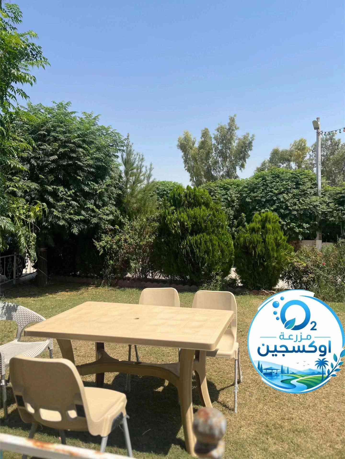 مزرعة للإيجار • ساقزلي • مسبح