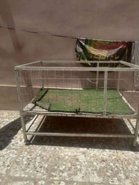 حلبه دجاج • للبيع