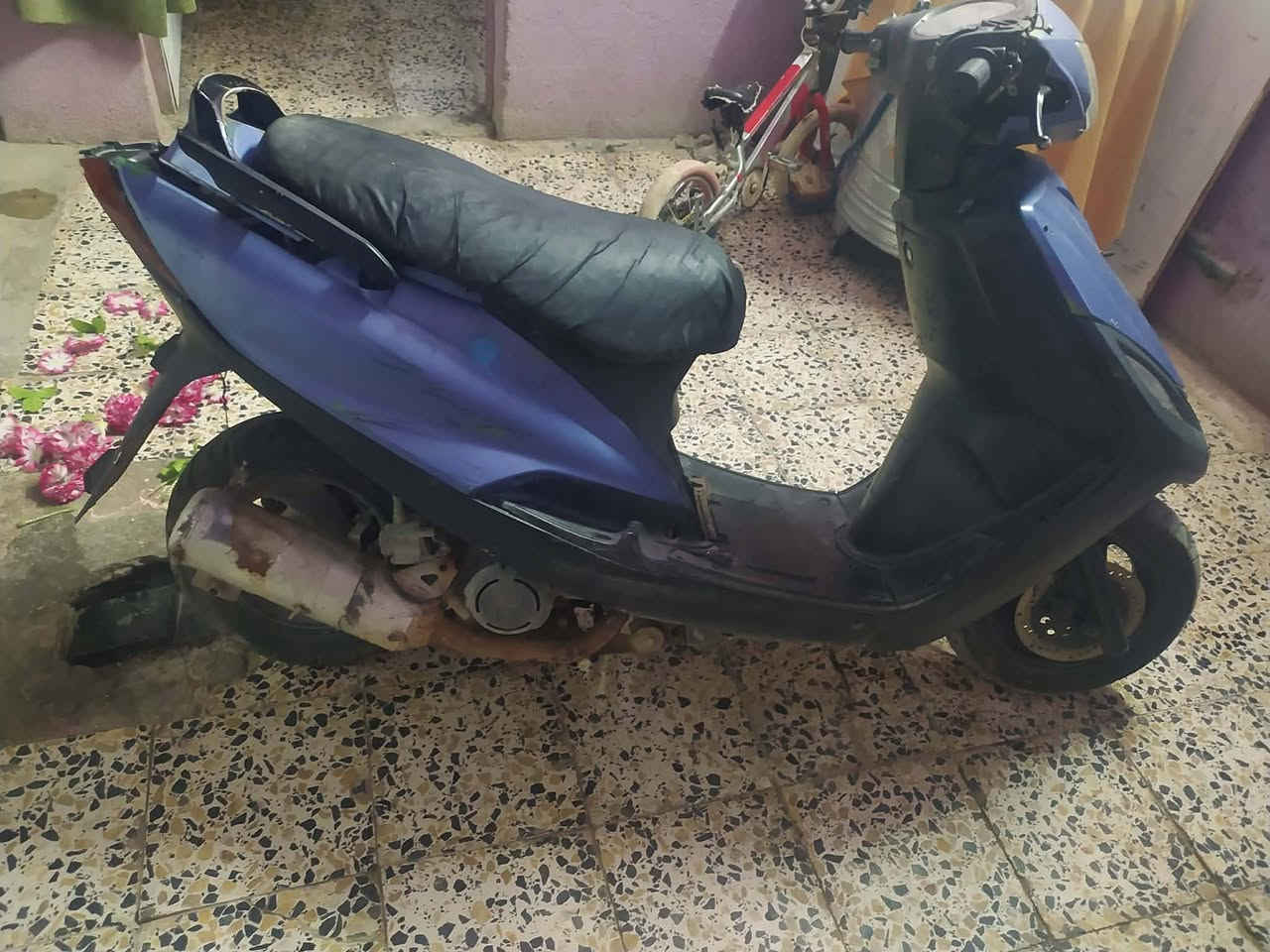 السلام عليكم حبايب ماكس ثعلب دارجه كفراتها حلوه شوفت عينك دراجه طفت بيه وما اعرف شبيها للبيع مكاني حله حي المهندسين سعرها 120 بيها مجال الي يريدها بي خير ويدلل رقم ***********
