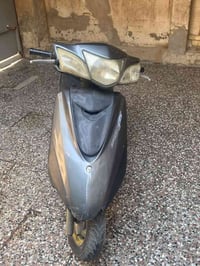 بريز ببغاء • مكفولة • ماشيه ٢٥٠٠٠