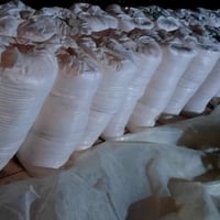 جص النجف • درجه اولى • ٢٥ كونيه