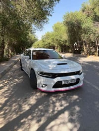 سكات باك • V8 ٦.٤ • ٢٠٢٢