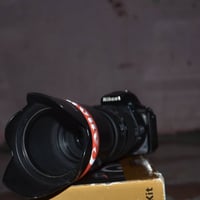 نيكون 5600 • زووم 70-300 • البصرة حيانية