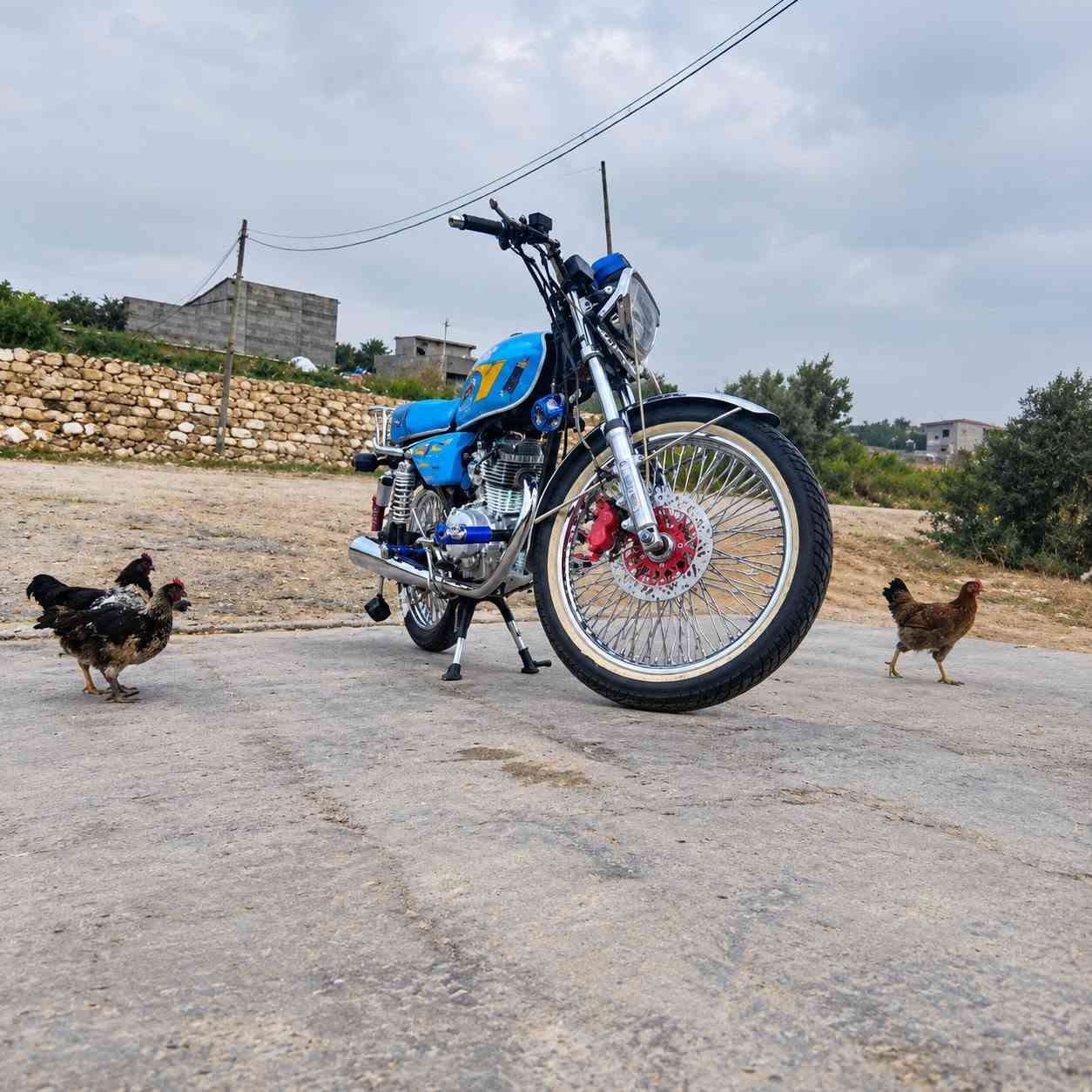 تايكر • ٢٠٢٥ • شاشه
