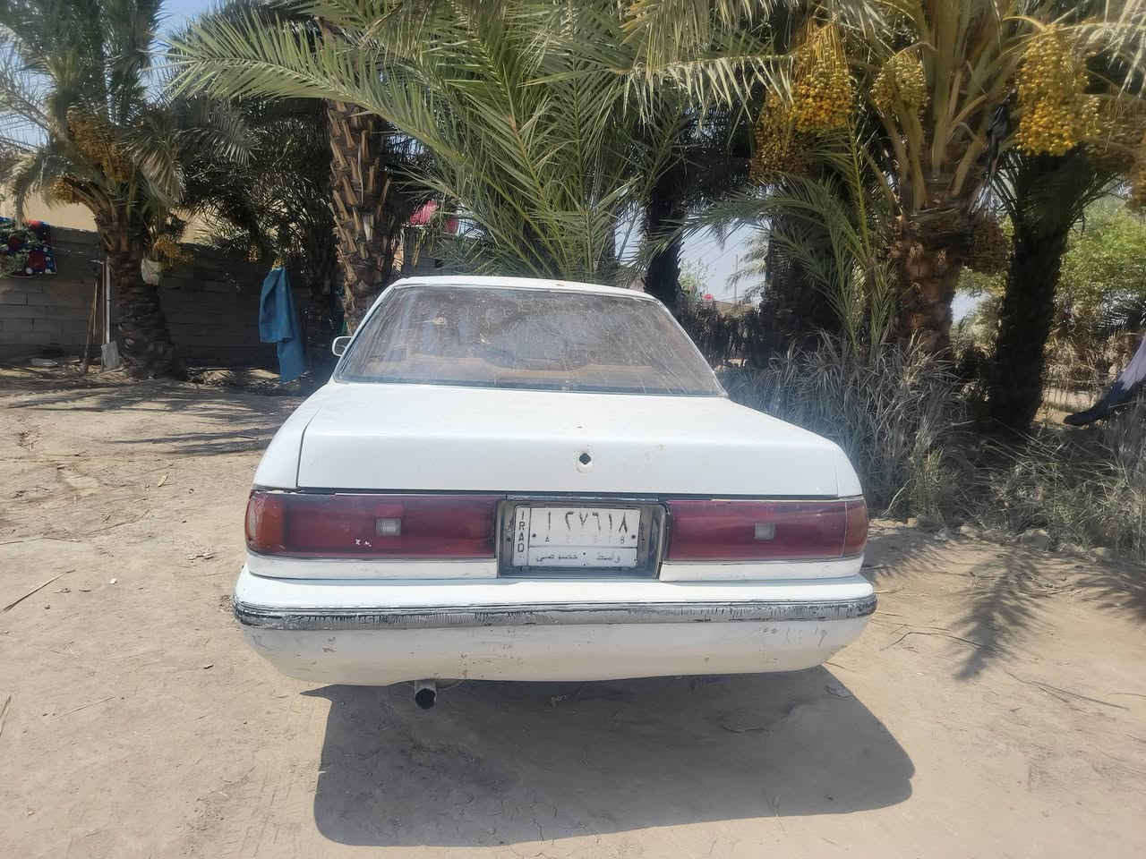 سلام عليكم مارك مسطره جاهزه مكينه وكير ونجي لا تنقيص ولا تبخير مكفوله كصه وضربه رقم مشروع وطني السعر 29 مكان ذي قار الغراف مكلف بل ‏‪***********‬‏ متواجد فيس بوك
