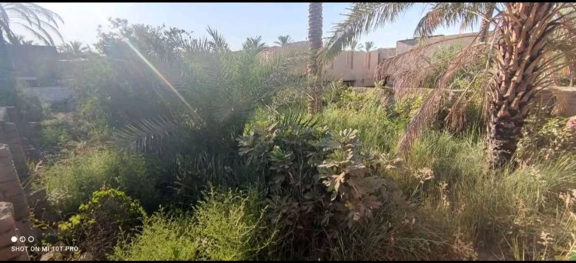قطعة زراعي • عنانة فرع الملا • ٣٩٦م