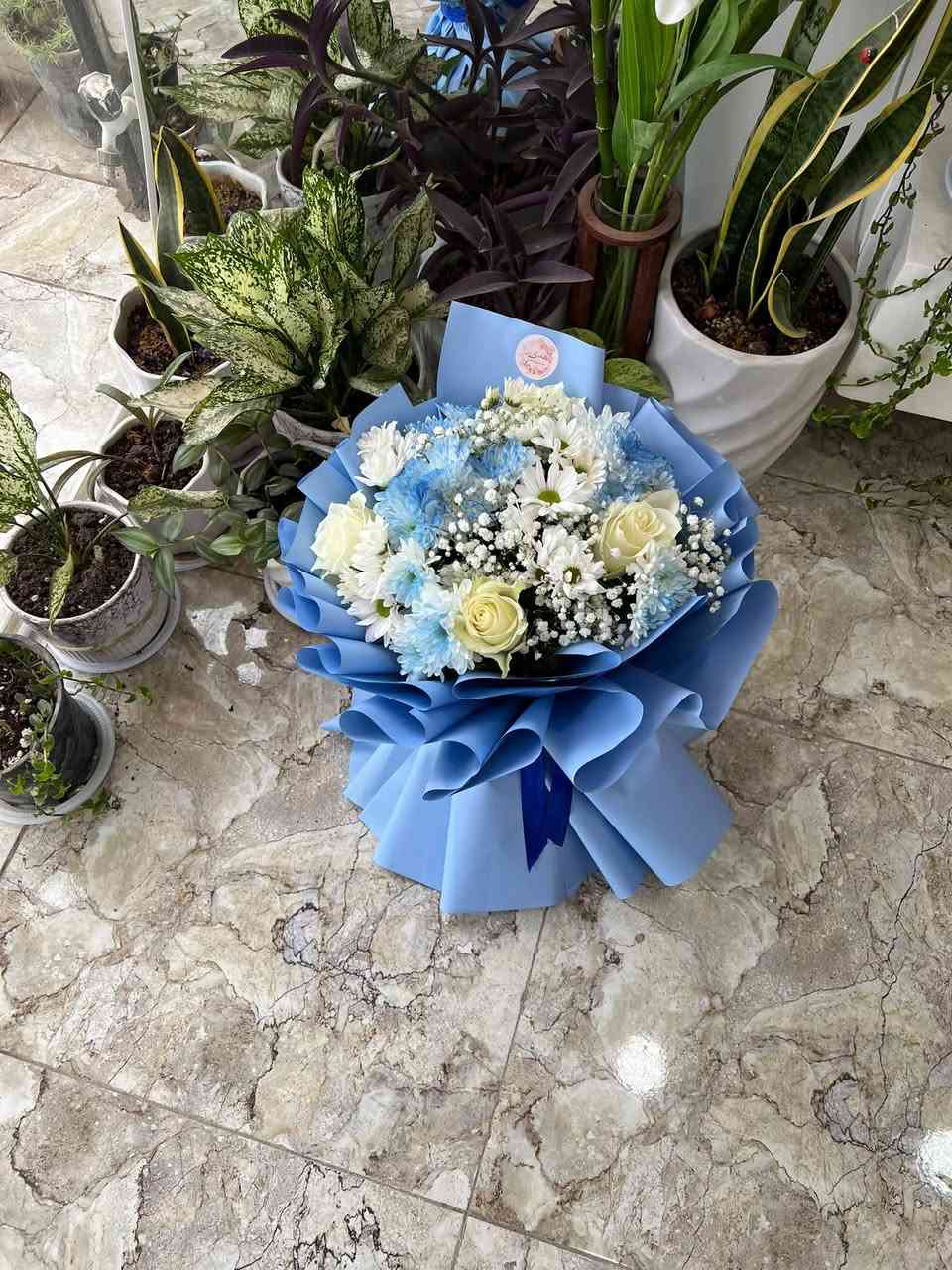 هُدى روز • ورد طبيعي • أبو غريب