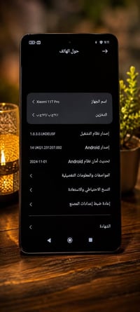 شاومي 11T برو • ٢٥٦ جيجابايت • ازرق مموج