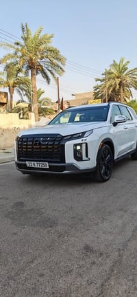 بالسيايد • ٢٠٢٤ • وارد امريكي