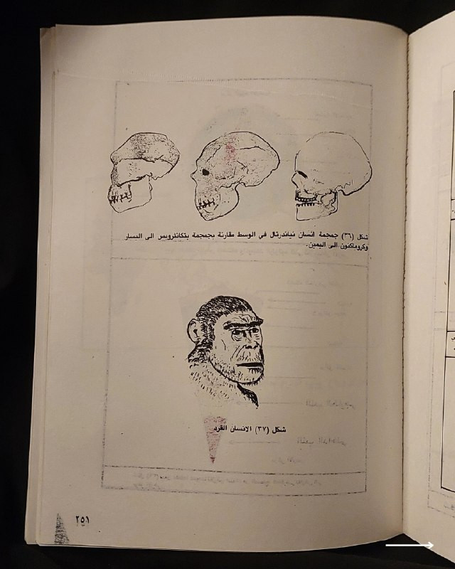 📚
تحفة علمية وجيولوجية نادرة من الإصدارات العراقية
🏛️
!
كتاب «الجيولوجيا للجميع»
✍️
المؤلف: عادل حاتم جوزي
🏛️
مكان النشر: بغداد (رقم الإيداع في المكتبة الوطنية - بغداد 1223 لسنة 1980)
📅
سنة الطباعة: 1980
✨
عن الكتاب:
مرجع تبسيطي وأكاديمي شائق في علوم الأرض والجيولوجيا والحيوانات القديمة، يقدم شرحاً تفصيلياً لطبقات الأرض، الحفريات، وتطور الكائنات الحية والديناصورات والأحافير عبر العصور الجيولوجية بأسلوب علمي مدعم بالرسوم التوضيحية واللوحات الملونة. يُعد الكتاب كنزاً حقيقياً لطلبة علوم الأرض، الأحياء، والمهتمين بالاستكشاف والكتب العلمية التراثية النادرة.
📌
حالة النسخة: أصيلة (طبعة بغداد عام 1980)، وتتميز باحتوائها على ملحق كامل من الرسوم التوضيحية واللوحات الملونة التوضيحية للأحافير والديناصورات والإنسان القديم، ومحفوظة بحالة ممتازة جداً لمقتنين الكتب التراثية.
🔷
السعر: 15 ألف دينار عراقي
📜
🚚
يتوفر توصيل لكافة المحافظات.
للإستفسار والحجز
🔻
:
البوت:
@PH_900bot
أو واتساب: ***********

