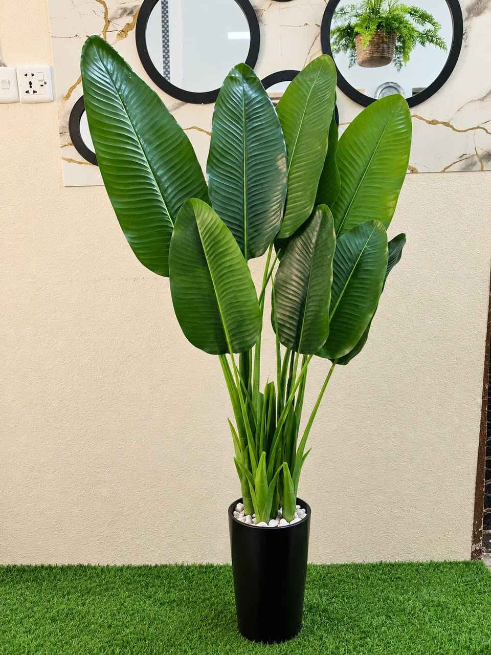 نباتات
جمال نباتاتنا 😍
تفاصيلها تخبل ولا تفرق بالشكل عن النباتات الطبيعية 💚

#سعفة

