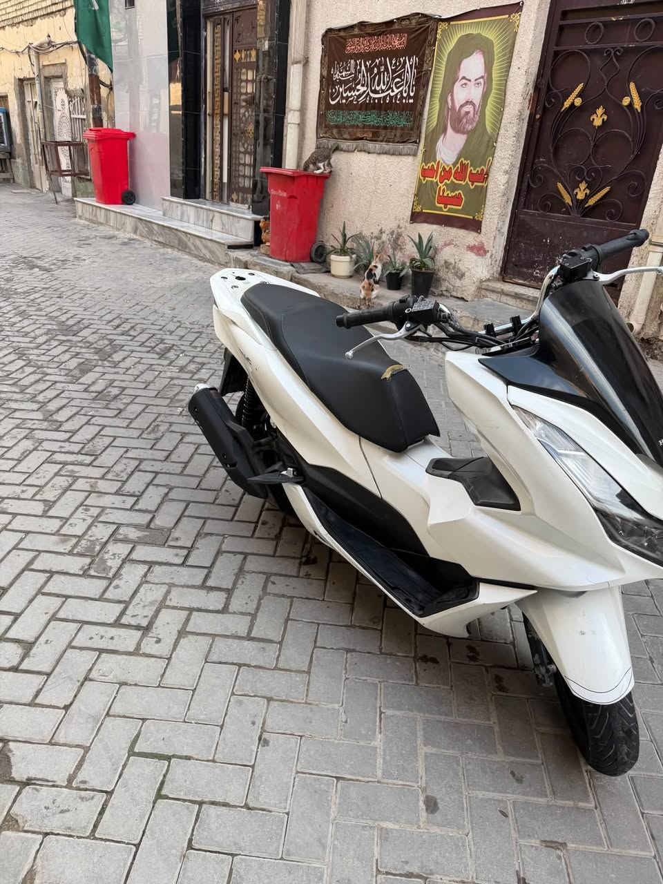 بسي اكس • جيل الربع • كفاله