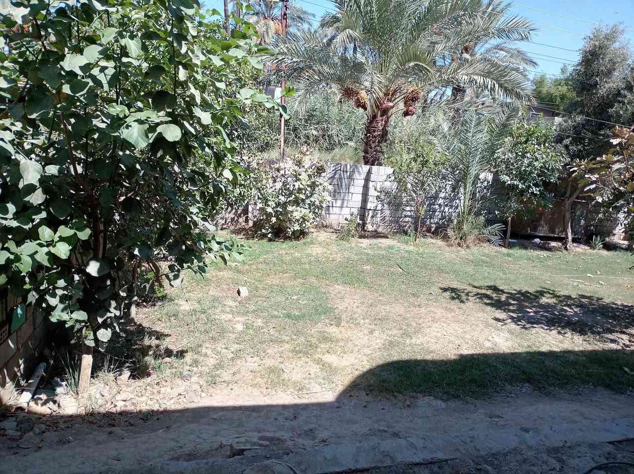إخوان سلام عليكم بيت مساحه ١٥٠ صافي من دون المماشي والحديقة زراعي مكان محموديه قريه المعامره متكون من غرفتين نوم وصاله ومطبخ ومضيف وحمام  متوفر جميع الخدمات عل شارع تبليط السعر خاص ***********
