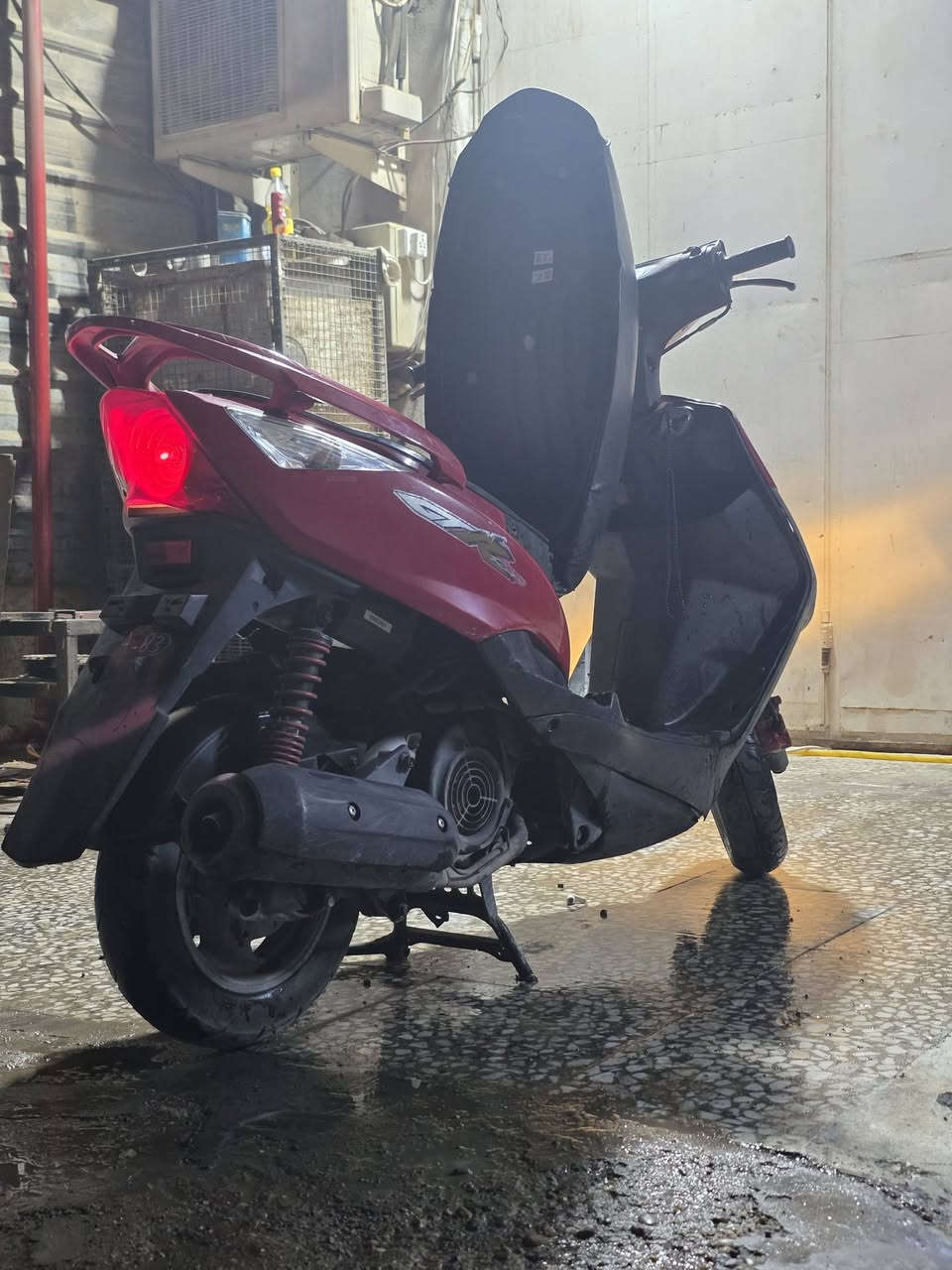 ثعلب GTR • ٢٠٠٥ • مكفول