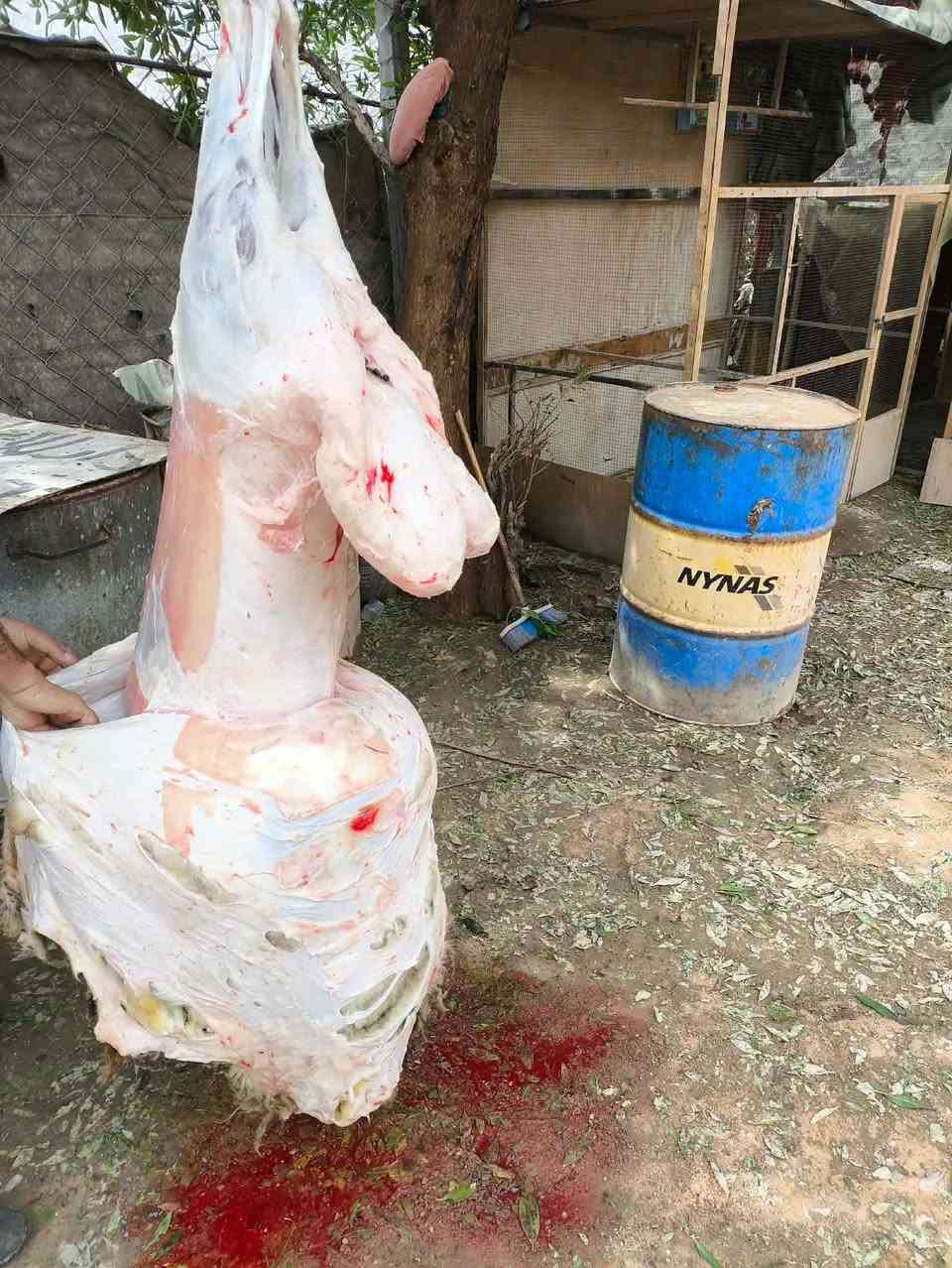 طبخ مناسبات • كادر طبخ • شارع طاهر عطشان
