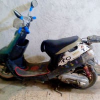 بطة • شغالة • مكفولة