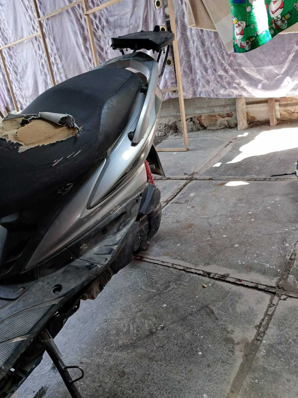 سكنس فحل نوزل مال رمبه مكفولا كفاله عامه السعر 7500 $$$$.......***********
