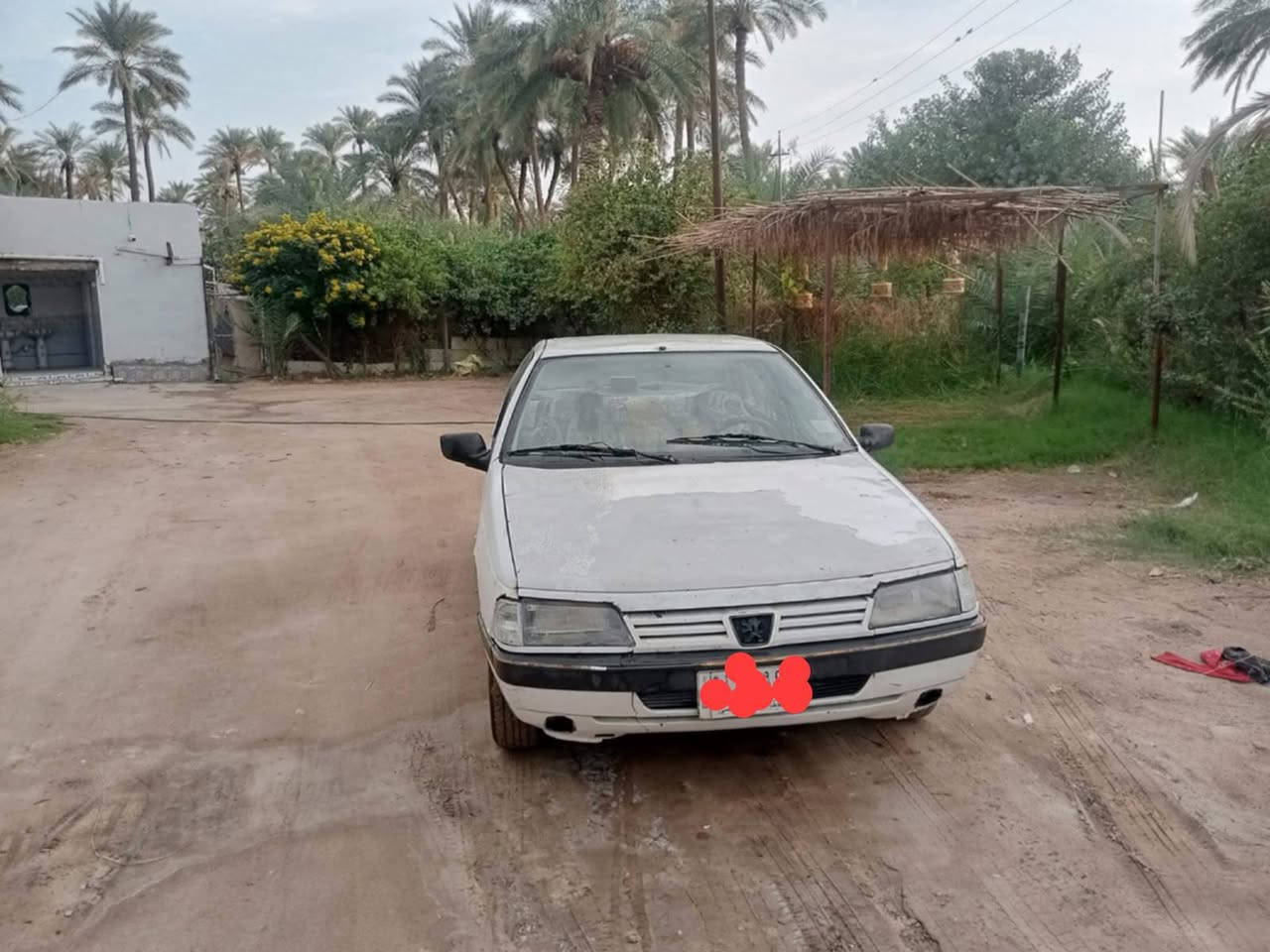 بيجو روى • ٢٠٠٩ • رقم نجف