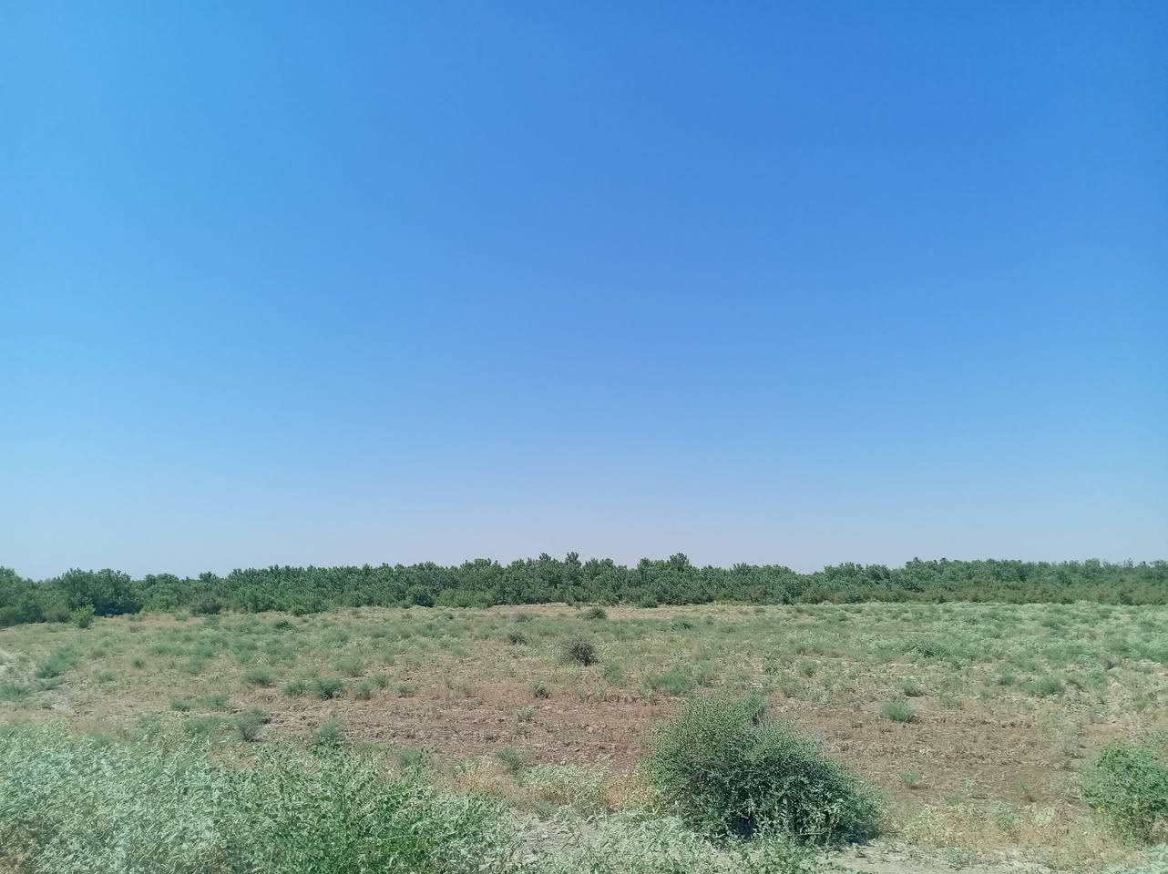 السلام عليكم للبيع ارض زراعيه مال معامل حصو ورمل وكساره بيهه مواد درجه أوله الرقم *********** محافظة صلاح الدين تكريت ناحيه البوعجيل الاستفسار

