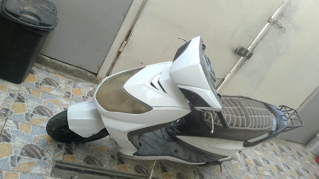 سكنس فحل • ياباني • نفخ