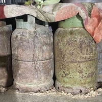 للبيع • الخضر