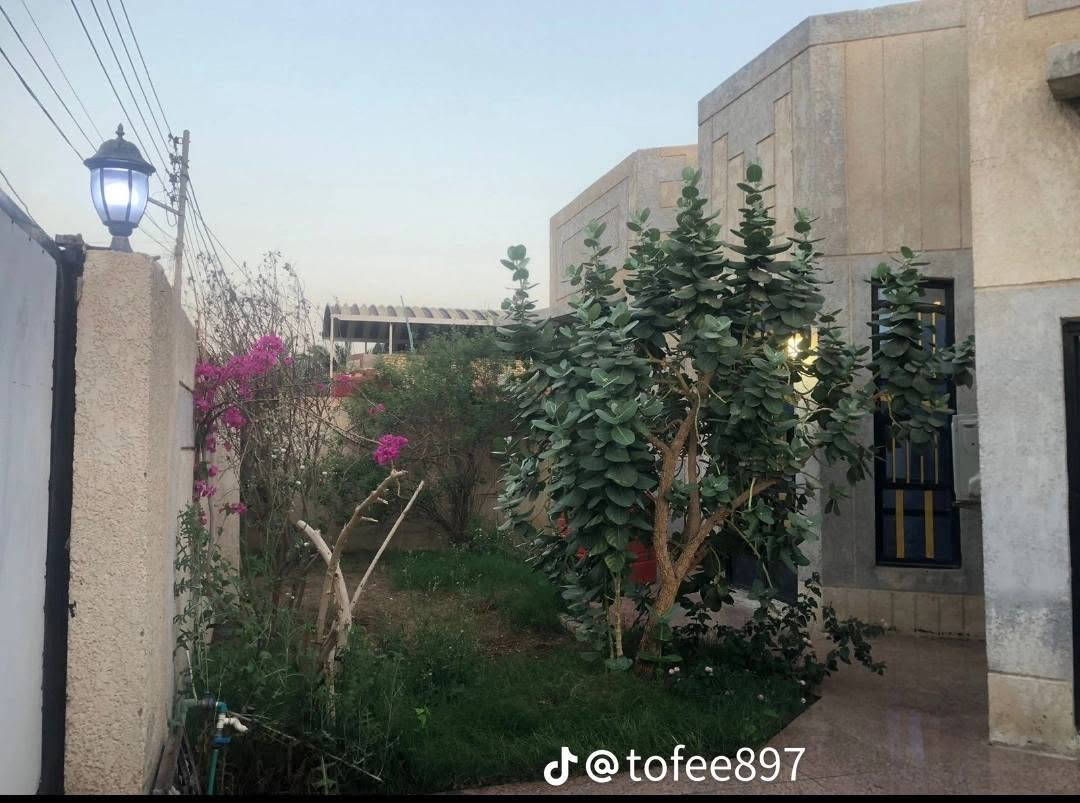 بيت للبيع حي البساتين شارع احمد الوائلي التواصل ‏‪***********‬‏ عمر اخون مستعجل اريد اسافر
