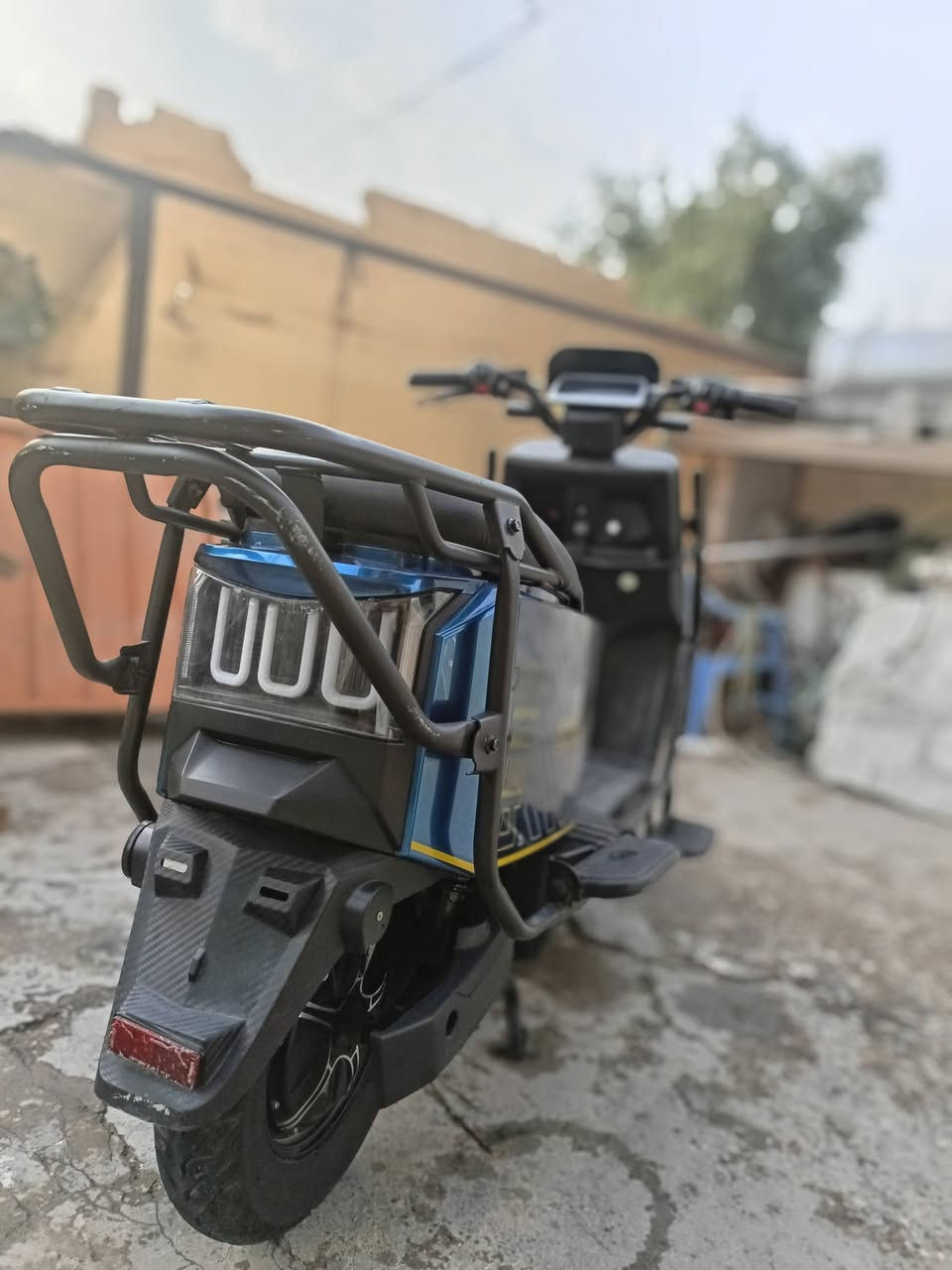 دراجة شحن • جديدة • بيه مجال
