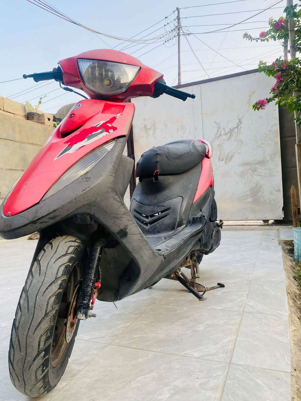 ماكس بلاديه • محموديه