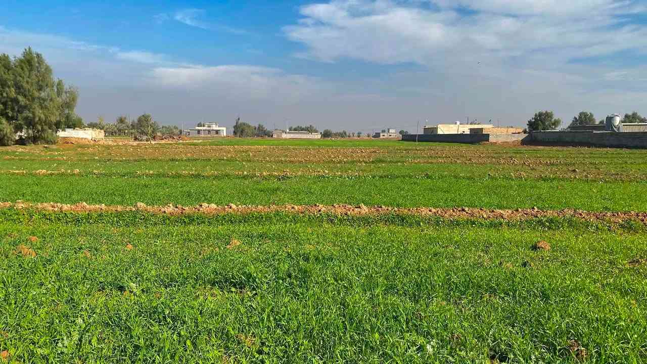 دونمين ونص للبيع بغداد تقاطع النهروان قرية الفرسان مكان هادء وارض خصبة وسعر بلااااش 
متوفر ماء سقي كهرباء سحب ماء اسالة سعرهن شلع 110 وبيهن مجال 
يرهمن دار استراحة او سكن او زراعة او استثمار 
*********** متوفر واتساب واتصال مباشر

