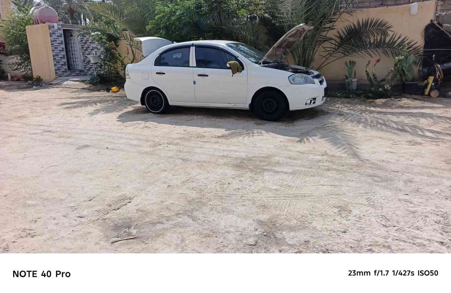 افيو • ٢٠١١ • سوق الشيوخ