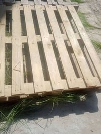 سكيبات خشب • ١١ قطعة • بغداد