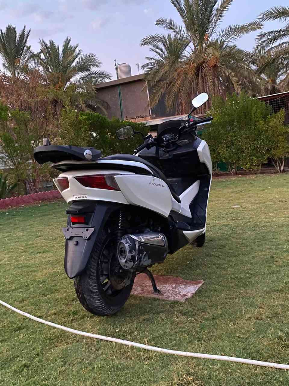 شعندك امراوس نزل. اي شي
بدون نطايح 

فورزه 0/12 كفاله  مكان بغداد. 
***********
