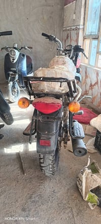 بوكسر • زركه 2020 • حمره 2022