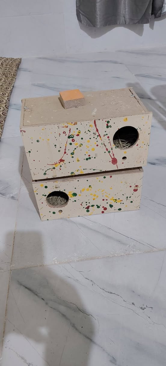 يوجد بيت بلابل العدد 25البيع ***********

