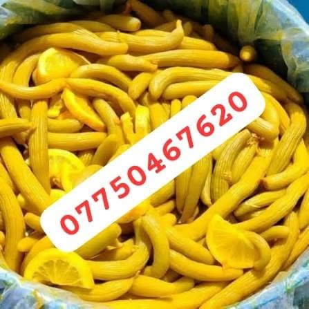 طرشي سطل • ٧ كيلو • توصيل بغداد