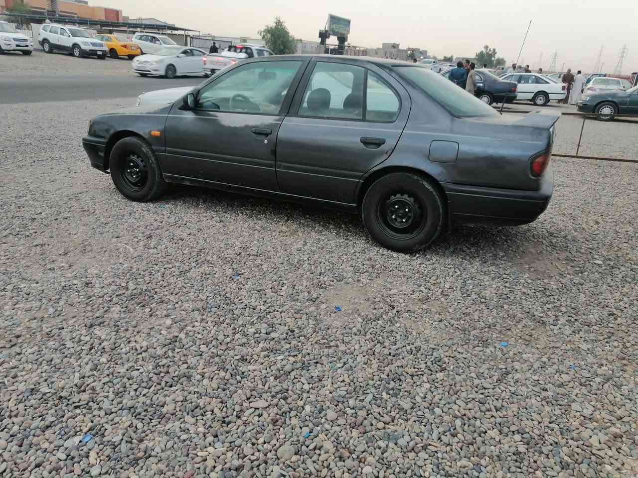 برايمره • حجم ١٦ • رقم نينوى