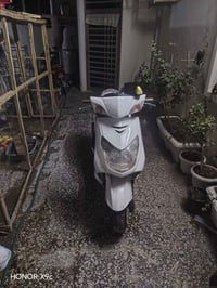 سكنس فحل • نضيفه • اوراق