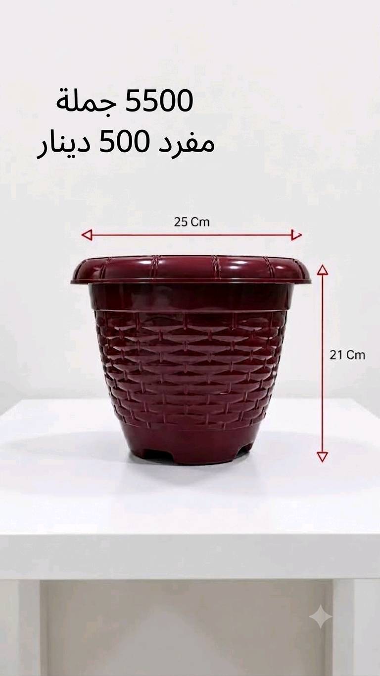 أرخص أسعار بل سوق سنادين نباتات بيع جملة ومفرد وهناك خدمت 

🛑توصيل موصل والمحافضات  
🛑 متواجد على الواتساب ***********