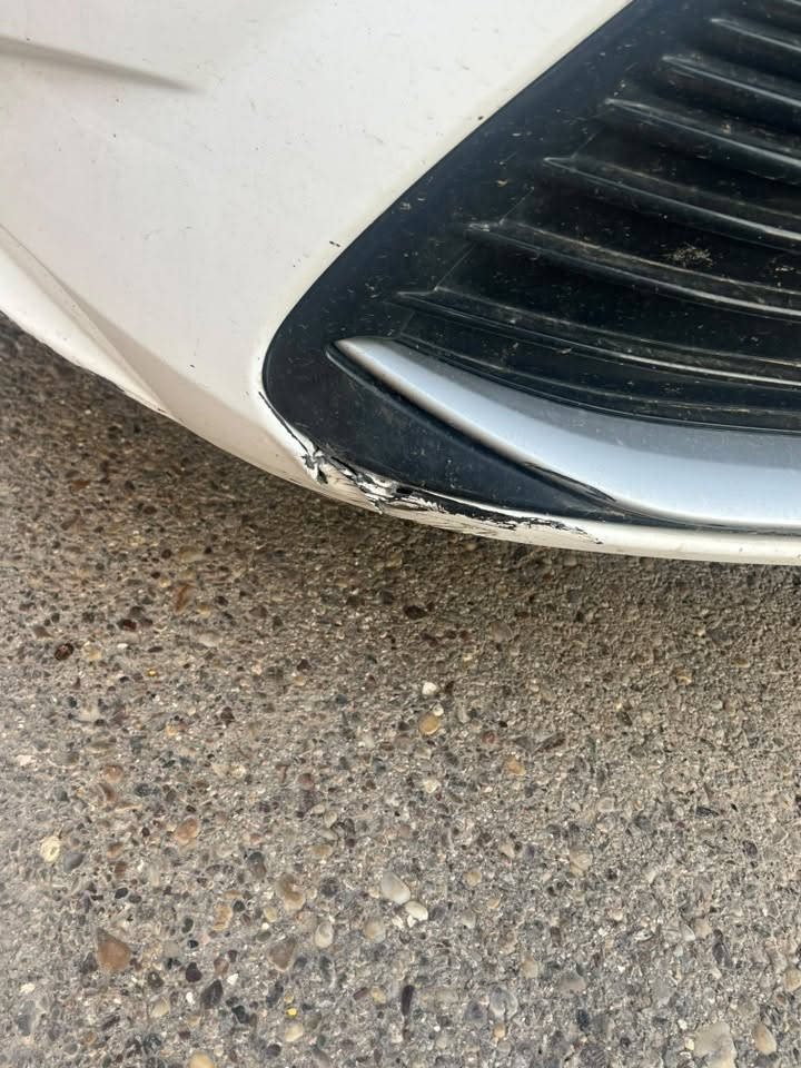كورلا • ٢٠٢٤ • مكفولة