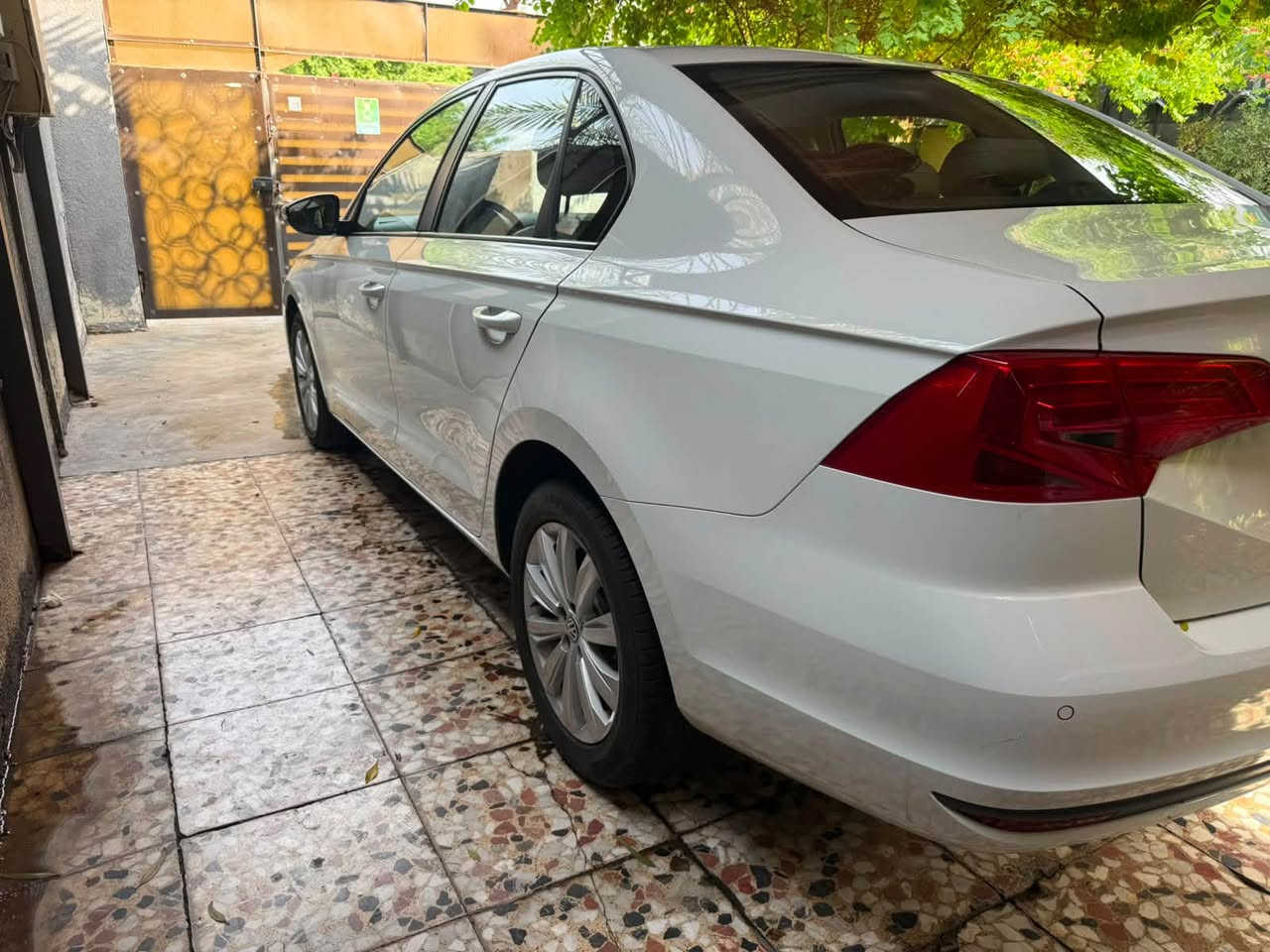 بورا • ٢٠٢٢ • ماشية ١٠٠٠٠