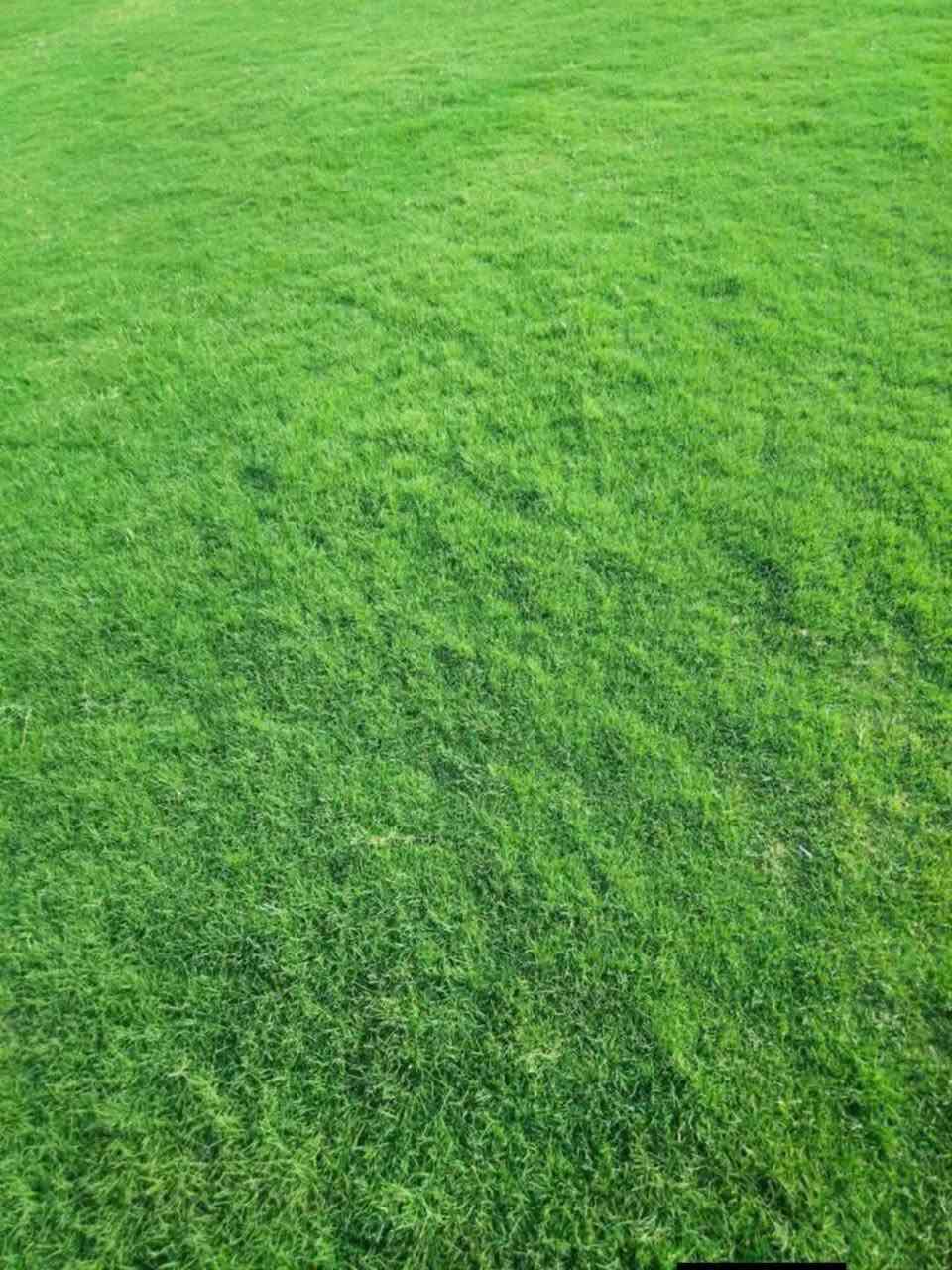 نشتغل جميع الحدايق
***********
