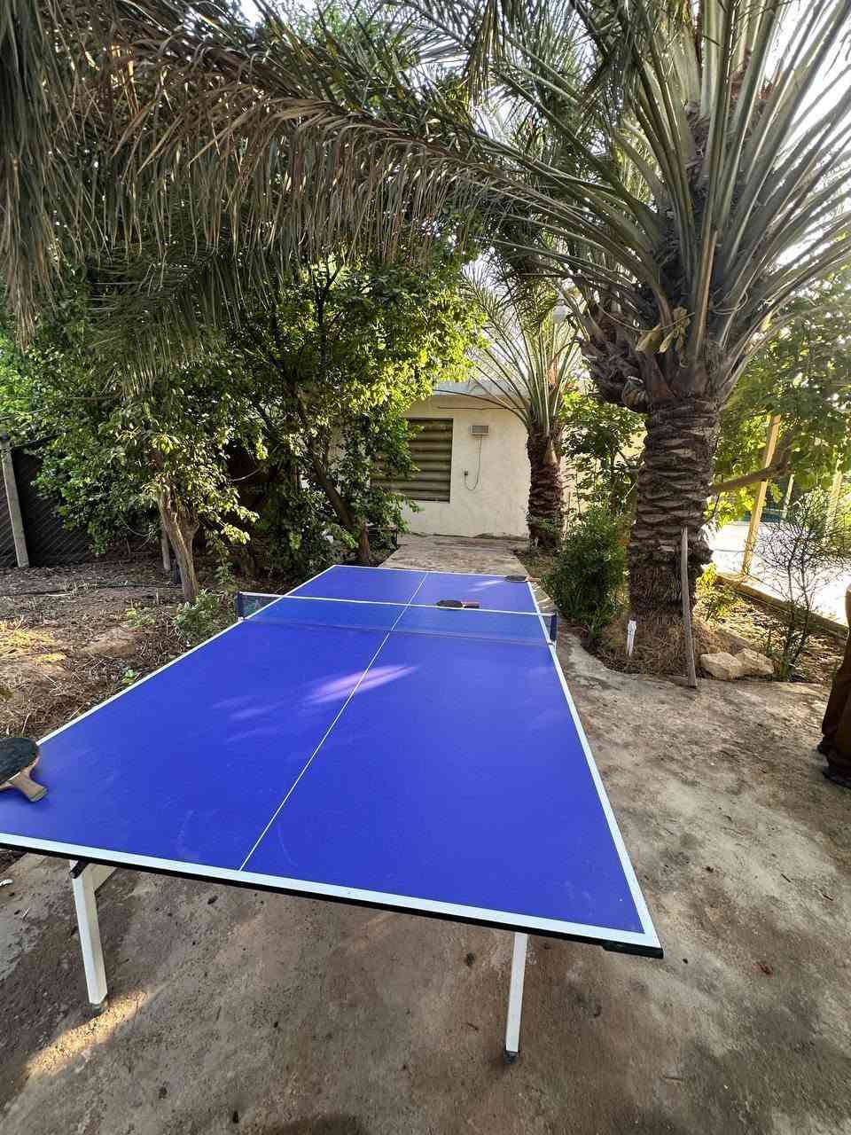 منتجع السعفه الذهبيه🍂
  منتجع كامل اجواء من البهجه والهدوء والخصوصيه 🎻🎸🌿🌴🏕️🌲🎸🎻
للعوائل
📍صلاح الدين/قضاء بلد 

      يتضمن المكان كل وسائل الراحه وأفضل خدمة 🎻
🍂ببناء حديث بتصميم عصري 🏡 
🍂الخصوصية والامان والنظافة💯
🍂كهرباء على مدار الساعة 24🔋
🍂شبكة اتصالات انترنيت📲
🍂مسبح كبير وصغير للاطفال 🏊
🍂صحيات داخليه  🫧
🍂مكان مخصص للشواء 🍖🍗
🍂كراج سيارات كبير 🚙🏎️
🍂العاب ترفيهيه /منضده🏓+بليارد🎱+فيشه🥅
🍂تحتوي على صاله مجهزه ومؤثثه وغرفتين نوم ومطبخ مجهزة بالكامل 
نستقبل الحجوزات من عوائلنا الكريمة  على مدار الاسبوع  بنظام حجز شفت واحد و (24) ساعة مبيت
للحجز الاتصال على ***********
