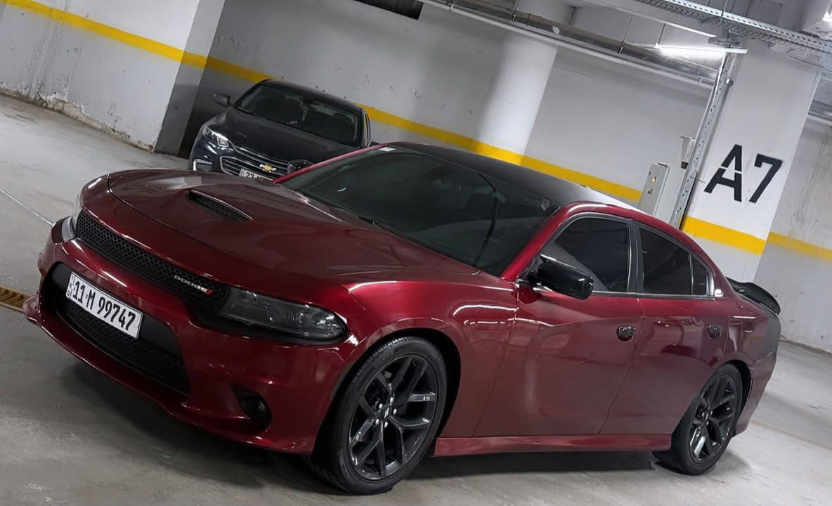 سلام عليكم 
دوج جارجر SXT عليه كت كامل GT
موديل 2020لون احمر مميز 
رقم بغداد مشروع وطني تحويل مباشر بسمي 
وارد امريكي حادثه جملغ امامي فقط وبنيد . وقطعه ونص كلير بدون حادث 
الموصفات
محرك 3600
توويل 
حساسات خلفي 
لد نهاري  لد خلفي 

كشنات حضن جلد+تدفئه تبريد+ خزن ميموري  
شاشه جبيره كامره 
مقاعد كهرباء + تدفئه تبريد 
تبريد قطعتين 
هيترات بل مري
ستيران تدفه
بصمه ابواب 
تشغيل عن بعد 
كروس سرعه
مانع انزلاق
تحكم ستيرن
شاشه للأعطال 
-نضام البريك ABS 
4 دسك
أخوان السياره كامله 
كير / محرك / حداده / تبريد / تدفئه / كهربائيات / باتري / تخم تاير
مكان السياره بغداد 
اللاستفسار 
*********** بغداد, العراق
