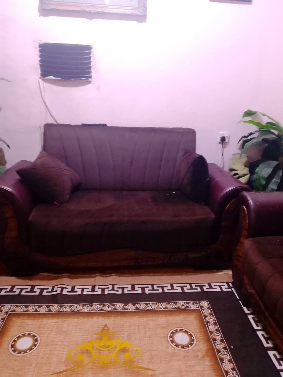 تخم • نظيف • مراسلة