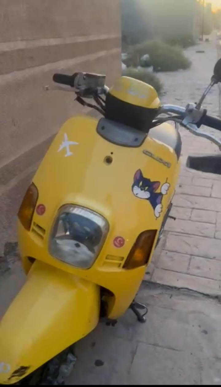 بوليس • للبيع • سعر خاص