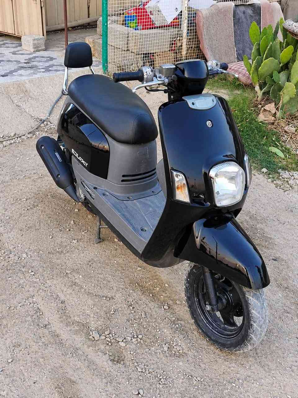 بوليس • كفاله عامه • وصل معرض